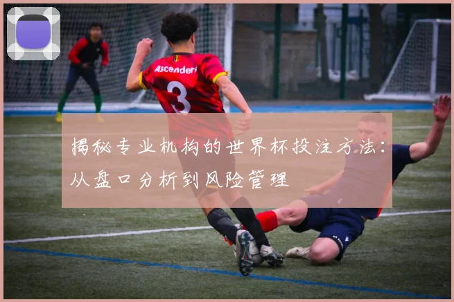 揭秘专业机构的世界杯投注方法：从盘口分析到风险管理