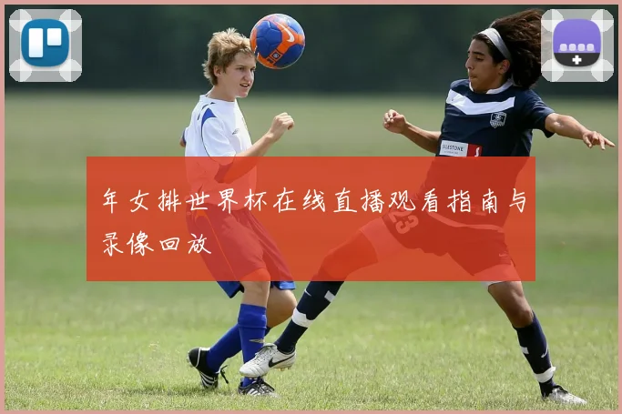 年女排世界杯在线直播观看指南与录像回放